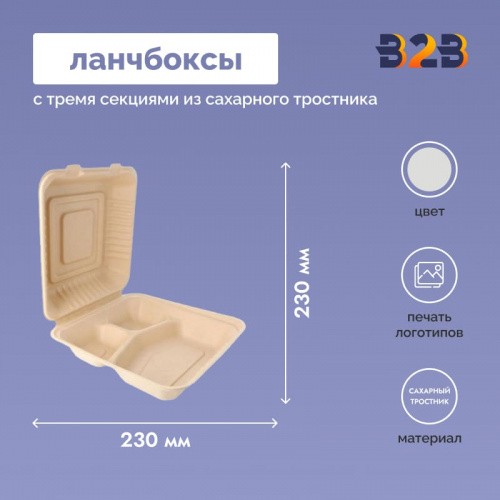 Ланчбоксы с тремя секциями из сахарного тростника 230x230 мм